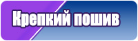 Брендовые футболки